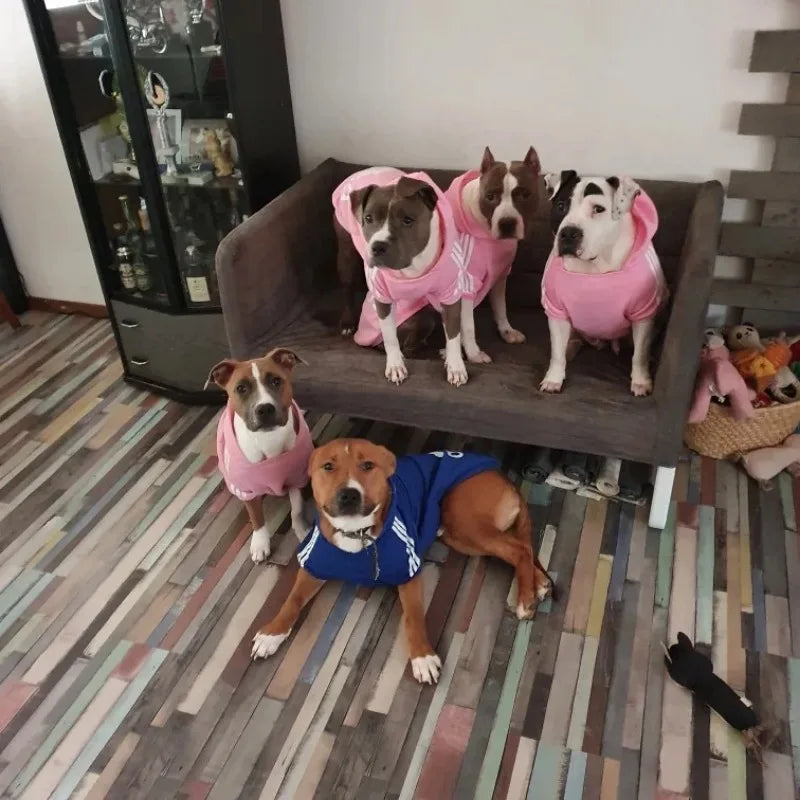 Adidog Dog Hoodies