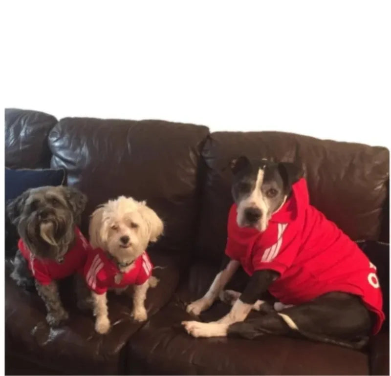 Adidog Dog Hoodies
